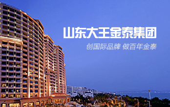 山東大王金泰集團